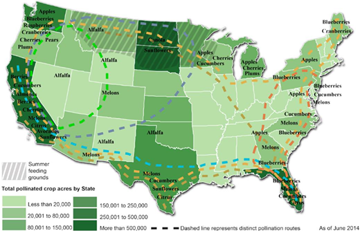 Map of beekeeper migratory routes adapted by United States Department of Agriculture (USDA), Economic Research Service from Kautzmann (2011), with input from commercial beekeepers and apiculture experts, including Dr. Jeff Pettis and Dr. David Epstein, an entomologist and authority on pollinators with the USDA’s Office of Pest Management Policy. Crop production acres are from USDA, NASS, 2012 Agricultural Census, 2014. Source: (Bond et al., 2014, p. 3). DOI: https://doi.org/10.1525/elementa.2020.00105.f1
