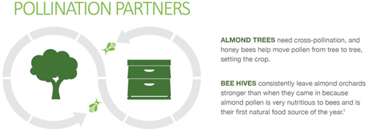 Image adapted from Almond Board of California (2016). DOI: https://doi.org/10.1525/elementa.2020.00105.f3