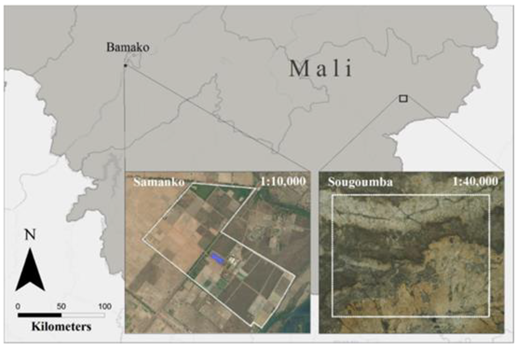 Map showing the site of the project STARS ISABELA. Source: Gooskens (2016). STARS ISABELA = spurring a transformation for agriculture through remote sensing and imagery for smallholders/activating business entry points and leveraging agriculture. DOI: https://doi.org/10.1525/elementa.2020.00106.f2