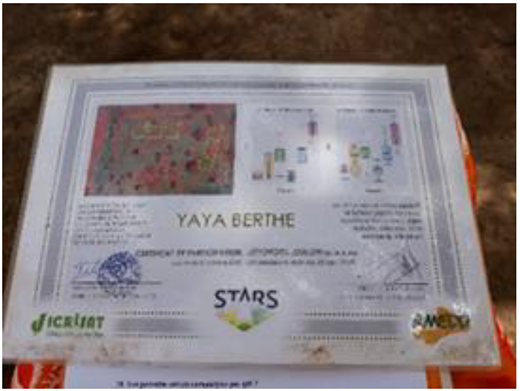 Certificate of participation to the fertility test under STARS ISABELLA (Fieldwork, 2018). STARS ISABELA = spurring a transformation for agriculture through remote sensing and imagery for smallholders/activating business entry points and leveraging agriculture. DOI: https://doi.org/10.1525/elementa.2020.00106.f4