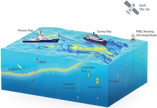 Conceptual diagram of the sampling array for the EXPORTS Northeast Pacific Field Deployment. The sampling array for the EXPORTS Northeast Pacific field deployment is composed of both ship and autonomous sampling platforms. Two ships were deployed: a Process Ship, the R/V Roger Revelle; and a Survey Ship, the R/V Sally Ride. The autonomous sampling array was highly heterogeneous with an instrumented Lagrangian float that the Process Ship followed, a Seaglider, multiple neutrally buoyant sediment traps (NBSTs), a surface-tethered sediment trap array, an instrumented Wirewalker profiler, and two biogeochemical Argo profilers. The EXPORTS Northeast Pacific field deployment was conducted at Station P in the Northeast Pacific (near 45°N 145°W) which is a Global Node of the U.S. NSF’s Ocean Observatories Initiative (OOI). DOI: https://doi.org/10.1525/elementa.2020.00107.f3