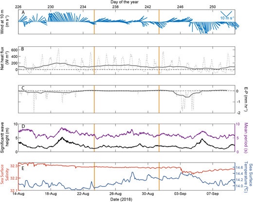 Air–sea fluxes from the NOAA PMEL air-sea interactions buoy. From the top are shown (A) daily wind speed and direction, (B) net air–sea heat flux, (C) evaporation-precipitation (E-P), (D) significant wave height and period, and (E) sea surface temperature and salinity measured from the NOAA PMEL air-sea interaction mooring (www.pmel.noaa.gov/ocs/data/disdel) and the UW-APL waverider buoy (www.apl.washington.edu/projects/station_papa/summary.html) during the period of the three ship-sampling epochs (from 14 August to September 9, 2018). DOI: https://doi.org/10.1525/elementa.2020.00107.f12
