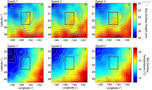Spatial maps of sea surface height and sea surface temperature during the EXPORTS sampling epochs. Spatial maps of (upper) absolute sea surface height from merged daily satellite altimetry and (lower) sea surface temperature (SST) for the three EXPORTS sampling epochs (left to right). Daily, near-real time, and gridded (0.25° resolution) absolute sea surface height were used to create these distributions (resources.marine.copernicus.eu/?option=com_csw&view=details&product_id=SEALEVEL_GLO_PHY_L4_NRT_OBSERVATIONS_008_046). Optimally interpolated passive microwave (cloud penetrating) SST daily products (25-km resolution) were used as the SST products (www.remss.com/measurements/sea-surface-temperature/oisst-description). The black boxes indicate the sampling regions for the EXPORTS field deployment shown in Figure 6B. DOI: https://doi.org/10.1525/elementa.2020.00107.f13