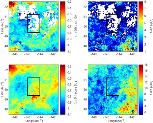 Composite satellite ocean color Chl a concentration imagery during the EXPORTS field deployment. Composite log10-transformed Chl a concentrations for the ship sampling period at Station P (14 August to September 9, 2018) are shown in the upper and lower left panels (A, C) for the respective months of August and September 2018. Corresponding images for the number of valid days for each composite are shown in the two panels on the right (B, D). The composite Chl a imagery was created from daily merged observations (1/24 at approximate 4-km resolution) from all available MODIS and VIIRS images (https://oceandata.sci.gsfc.nasa.gov/opendap/Merged_ATV/L3SMI/2018). The black boxes indicate the sampling regions for the EXPORTS field deployment shown in Figure 6B. DOI: https://doi.org/10.1525/elementa.2020.00107.f14