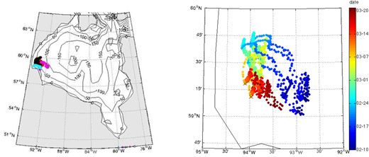 Ice beacon trajectories during the winter 2017 BaySys field campaign. Ice drift beacons (a) deployed near Churchill on February 2 (separate colors for each beacon); and (b) trajectories as a function of date (color bar) beginning on February 10 and thus before, during, and after the blizzard of March 7–9, 2017. Recirculation patterns exist beyond the 50-m contour shown in (a); transport is governed by cyclonic circulation and loops shown in (b). DOI: https://doi.org/10.1525/elementa.2020.00128.f16