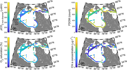Spatial patterns of calculated pCO2nonthermal and underway measurements of biological variables. Spatial variability of (a) temperature-normalized surface water pCO2 (pCO2nonthermal), (b) FDOM, (c) oxygen saturation, and (d) Chl a concentrations in Hudson Bay. pCO2 = CO2 partial pressure; FDOM = fluorescing dissolved organic matter; Chl a = chlorophyll a. DOI: https://doi.org/10.1525/elementa.2020.00130.f5