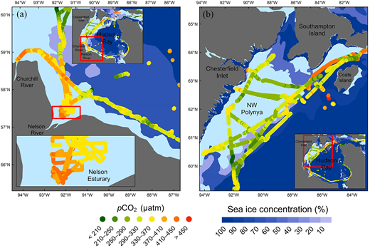 pCO2 in the Nelson Estuary and NW polynya. pCO2 values in (a) the Nelson and Churchill Estuaries with the sea-ice cover as of July 2, 2018; and (b) the NW polynya with the sea-ice cover as of June 16, 2018. The average atmospheric pCO2 was 408 μatm during our study time. NW polynya = northwest polynya. DOI: https://doi.org/10.1525/elementa.2020.00130.f7