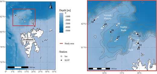 Map of the study area and sampled stations. During the RV Polarstern expedition PS92 north of Svalbard, samples were taken at 8 ice stations (white circles) and 8 Surface and Under-Ice Trawl stations (black triangles). DOI: https://doi.org/10.1525/elementa.2020.00169.f1
