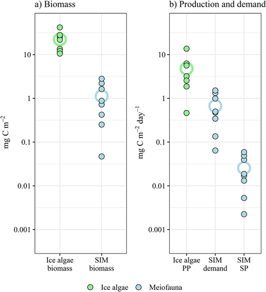 Biomass, carbon demand, and carbon production of ice algae and sea-ice meiofauna. (a) Biomass of ice algae and sea-ice meiofauna (SIM) and (b) ice-algal primary production (PP), SIM carbon demand, and SIM secondary production (SP) across 8 stations north of Svalbard in spring pack ice of 2015. Filled circles represent estimates per station; mean values are marked as unfilled circles. Note that the y-axis is log10-scaled. DOI: https://doi.org/10.1525/elementa.2020.00169.f2