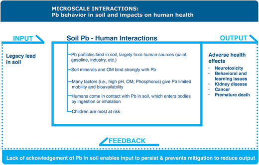Microscale interactions: Pb behavior in soil and impacts on human health. The system input (upper left) is legacy lead in soil. Once Pb lands in soil, a number of processes occur at a microscale (center box). Soil Pb is largely immobile, but humans, particularly children, are at risk of exposure. The output (upper right) is adverse health effects for exposed humans. There is a positive feedback (bottom) that perpetuates the input, identified here as the lack of acknowledgment of Pb in soil. DOI: https://doi.org/10.1525/elementa.2020.00174.f1