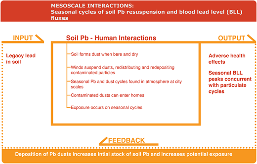 Mesoscale interactions: Seasonal cycles of soil Pb resuspension and blood lead level (BLL) fluxes. The system input (upper left) is legacy lead in soil. Once Pb lands in soil, a number of processes occur at a mesoscale (center box). Contaminated soils can become dry and dusty in summer months, becoming suspended in the atmosphere. Dusts can enter homes and expose people on seasonal cycles. The output (upper right) is adverse health effects for exposed humans, with BLL cycles occurring with seasonal cycles. There is a positive feedback (bottom) that perpetuates the input, identified here as the deposition of Pb dusts. DOI: https://doi.org/10.1525/elementa.2020.00174.f2