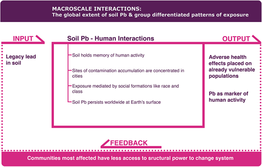Macroscale interactions: The global extent of soil Pb and group differentiated patterns of exposure. The system input (upper left) is legacy lead in soil. Once Pb lands in soil, a number of processes occur on the macroscale (center box). Soil Pb has accumulated around the world but has been concentrated in cities, disproportionately exposing people of color and people from low-income backgrounds. The output (upper right) is adverse health effects on already vulnerable populations and markers of human activity around the world. There is a positive feedback (bottom) that perpetuates the input, identified here as affected communities lacking access to structural power needed to change the system. DOI: https://doi.org/10.1525/elementa.2020.00174.f3