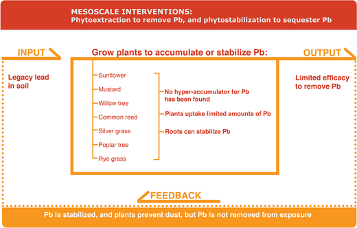 Mesoscale interventions: Phytoextraction to remove Pb and phytostabilization to sequester Pb. The system input (upper left) is legacy lead in soil. To address this issue, people have attempted a number of interventions on the mesoscale (center box). Many different plants have been grown to potentially accumulate and extract Pb (phytoextraction). However, no confirmed hyperaccumulator has been found to efficiently remove Pb from soil. On the other hand, many plant roots can effectively stabilize Pb in soil (phytostabilization). The output (upper right) is limited efficacy to remove Pb from soil. Although plants may stabilize Pb and prevent dusts, there is a positive feedback (bottom) that perpetuates the input, identified here as legacy Pb remaining in surface soils, not being removed from potential exposure. DOI: https://doi.org/10.1525/elementa.2020.00174.f5
