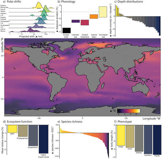 Indirect influence of climate change on macrobenthic species exemplified by projected responses of marine fauna. Panels depict (a) poleward distributional shifts of macrobenthos in the Northwest Atlantic and Northeast Pacific, (b) changes to benthic–pelagic energy transfer exemplified by changing diapause duration of Calanus finmarchicus in the North Atlantic, (c) shifting depth distribution of macrobenthos in the Northeast Atlantic, (d) projected relative changes in productivity assessed globally (where NPP indicates net primary productivity), (e) global distribution of projected change in biodiversity among exclusive economic zones, and (f) decreased body mass of demersal marine fish species aggregated by ocean basins. Map depicts projected global bottom temperature anomalies, averaged for the 2055–2100 relative to historical baseline; data were derived from Coupled Model Intercomparison Project 5 and downloaded from the National Oceanic and Atmospheric Administration (2019) ESRL Climate Change Web Portal. The unique color pallets in each panel denote the gradient of changes for each variable. Refer to Table 1 for more detailed panel data descriptions and information on climate projections unique to each panel. DOI: https://doi.org/10.1525/elementa.2020.00173.f5