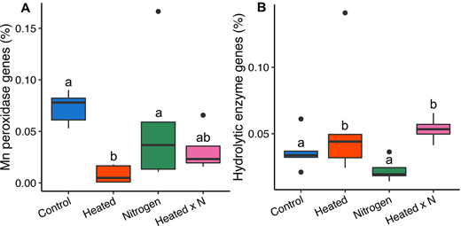 Fungal functional gene differences across the heated and nitrogen addition treatments. Manganese (Mn) peroxidase (A) and hydrolytic enzyme (B) encoding gene proportions were altered by the treatments. Different lowercase letters indicate significant differences based on multiple comparisons of estimated marginal means (P ≤ 0.05). DOI: https://doi.org/10.1525/elementa.2021.000059.f5