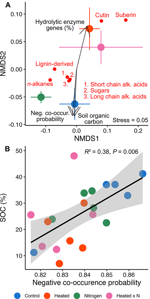 Soil organic matter (SOM) composition across the global change plots and the relationship with fungal characteristics and soil organic carbon (SOC) content. NMDS ordination of SOM compounds visualized using the average NMDS site scores (A). Smaller red points show individual SOM compound loadings. Vectors show significant correlations with fungal parameters and SOC content. Only significant correlations are displayed as vectors though all possible, independent fungal characteristics were tested (see Table S9). Correlations between fungal negative co-occurrence and SOC content (B). DOI: https://doi.org/10.1525/elementa.2021.000059.f6