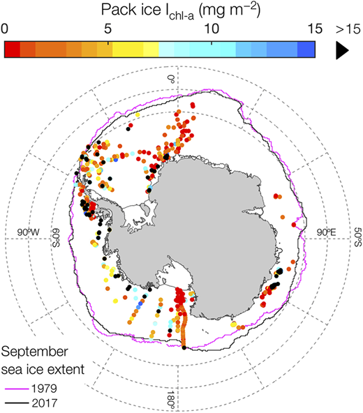 Southern Ocean ice-algal chlorophyll a distributions. Data points are color-coded by chlorophyll a concentration (mg m–2) in pack ice cores around Antarctica. Pink and black lines indicate sea-ice extent in 1979 and 2017, respectively (updated from Meiners et al., 2012). DOI: https://doi.org/10.1525/elementa.2021.00007.f3