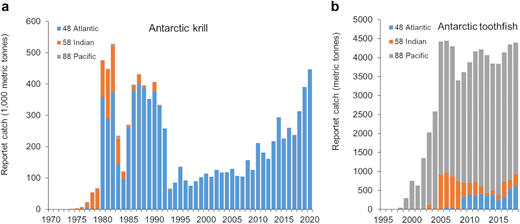 Commercial catches for Antarctic toothfish and krill. (a) Reported commercial catches in metric tonnes in different regions of the Conservation of Antarctic Marine Living Resources (CCAMLR) statistical area shown in Figure 2b for (a) Antarctic krill Euphausia superba between 1973 and 2020 (Catches in years 1973 and 1974 were very low), and (b) Antarctic toothfish (Dissostichus mawsoni) between 1998 and 2019 (CCAMLR, 2019; SC-CCAMLR, 2020). DOI: https://doi.org/10.1525/elementa.2021.00007.f6