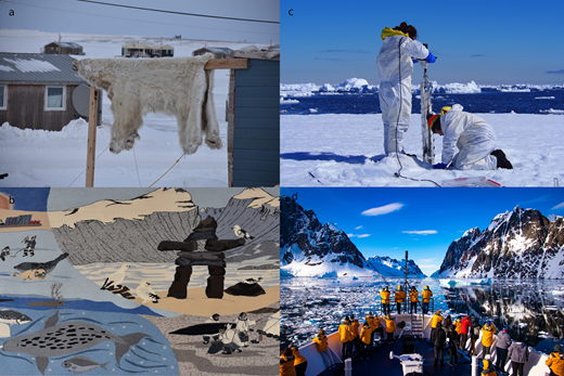 Photographic selection of cultural services. (a) Polar bear hide hung up for drying, Ulukhaktok, NWT, Canada; (b) Inuit tapestry, Pangnirtung airport, Nunavut, Canada; (c) sea-ice sampling in the Southern Ocean, Antarctica; (d) expedition cruise tourism, vessel entering Lemaire Channel, Antarctic Peninsula. Photo credits: DL (a); NS (b, c); Finn Steiner, Quark Expeditions (d). DOI: https://doi.org/10.1525/elementa.2021.00007.f7