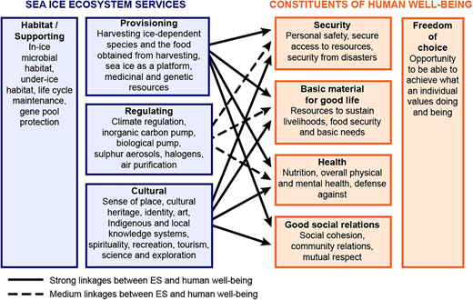 Link between sea-ice ecosystem services and constituents of human well-being. Link between sea-ice ecosystem services and constituents of human well-being (adapted from the Millennium Ecosystem Assessment; MEA, 2005). Habitat/Supporting services underlie other ecosystem services categories. Freedom of choice depends on, and influences, other constituents of human well-being and is not assessed here. DOI: https://doi.org/10.1525/elementa.2021.00007.f9