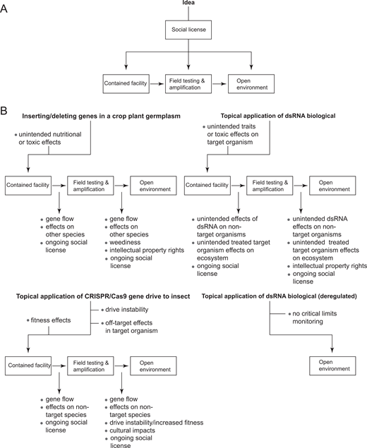 Critical control point framework applied to gene technologies. (A) Overall scheme beginning with chosen process technology. Each arrow is a critical control point. Social license is the first critical control point between idea and decision to proceed to development, and a critical control point between each progression along the horizontal axis. Scale of development: individuals treated in containment (as has been done using recombinant DNA as a mutagen) or, as in the case of topical applications, treatment of organisms in a defined area such as a field, glasshouse, or barn up to full release into the open environment. (B) Specific case examples of critical control points indicating qualitative or quantitative sources of potential hazards that are special to different release objectives. Each case except direct to the environment application of genetic engineering tools (bottom right) allows for monitoring of critical control points for exceeding critical limits for containing hazard. DOI: https://doi.org/10.1525/elementa.2021.00086.f3