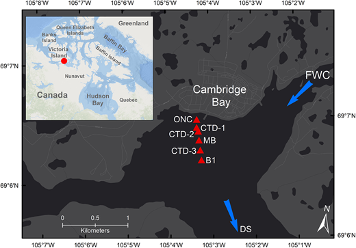 Map of Cambridge Bay, Nunavut, Canada, with sampling locations. Our sampling stations are denoted by red triangles; the high-temporal resolution measurements were collected at the Ocean Networks Canada site. CTD-1, CTD-2, MB, and CTD-3 are oceanographic transect stations. B1 is the location of ancillary water sampling and corresponds to the near maximum depth of the bay. Freshwater Creek is the main source of riverine input to our study area. Dease Strait is where the coastal inlet connects to the northwest passage. CTD = conductivity–temperature–depth. DOI: https://doi.org/10.1525/elementa.2021.00103.f1