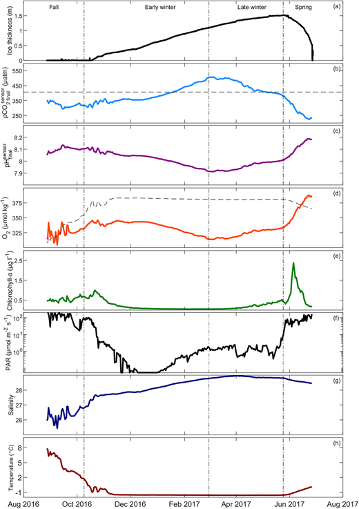 Observed Ocean Networks Canada platform data during the 2016–2017 deployment. Depicted are data for (a) ice thickness, (b) pCO2, (c) pH, (d) O2, (e) chlorophyll-a, (f) photosynthetically active radiation (PAR), (g) practical salinity, and (h) temperature. Atmospheric pCO2 is represented by the horizontal black dashed line in (b). Oxygen saturation is represented by the black dashed line in (d). PAR is plotted on a log scale where values represent the daily maximum. The vertical dashed black lines denote seasonal endpoints (Table S3). DOI: https://doi.org/10.1525/elementa.2021.00103.f8