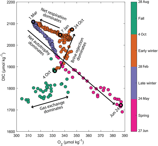 Seasonal evolution of dissolved inorganic carbon and O2 during the 2016–2017 Ocean Networks Canada deployment. Annotations indicate dominant biogeochemical processes driving variability at the platform. Color code is based on seasonal end points (Table S3). DOI: https://doi.org/10.1525/elementa.2021.00103.f10