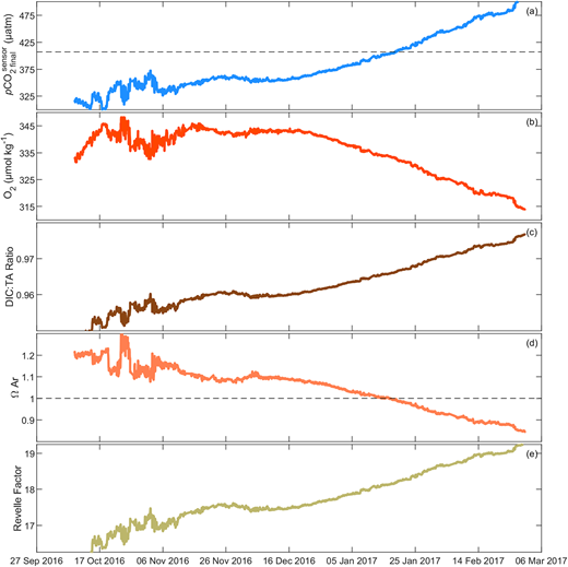 Key parameters capturing brine rejection and respiration during early winter 2016–2017. Depicted are data for (a) pCO2, (b) O2, (c) DIC:TA, (d) ΩAr, and (e) Revelle Factor. Atmospheric pCO2 is represented by the horizontal dashed black line in (a). Aragonite saturation, ΩAr = 1, is given by the horizontal dashed black line in (d). DIC = dissolved inorganic carbon; TA = total alkalinity. DOI: https://doi.org/10.1525/elementa.2021.00103.f11