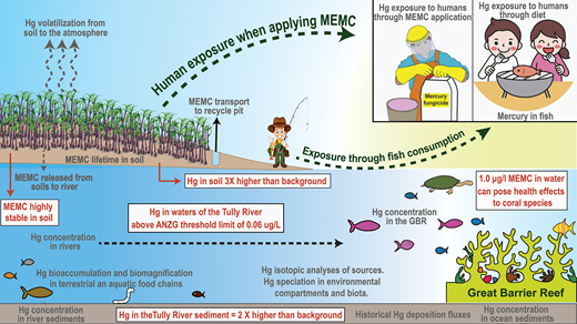 Mercury fates and processes where methoxyethyl mercury chloride (MEMC) fungicide is used to treat sugarcane setts in Australia. Brown text on white box represents current knowledge about the fates of MEMC in the Australian environment. Gray text represents MEMC knowledge gaps in Australia. The diagram represents a typical irrigation system with recycle pit but is not representative of all sugarcane field systems in Australia. Note the Great Barrier Reef is located at least 45 km offshore. DOI: https://doi.org/10.1525/elementa.2021.053.f4