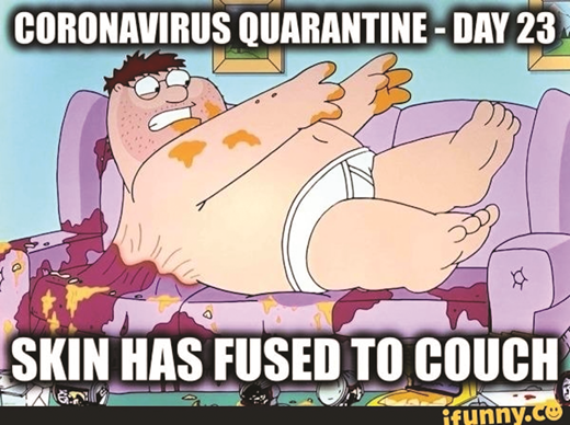 The limits of long-term binge-watching, in Family Guy.