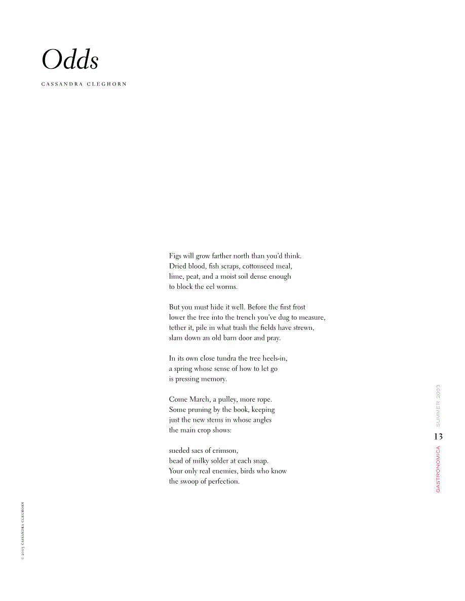 First page of Odds
