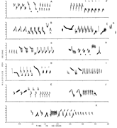 Drawing a New Science of Birdsong. From Peter Marler and Donald Isaac, “Song Variation in a Population of Mexican Juncos,” Wilson Bulletin 73, no. 2 (1961), 194; 203. Reproduced with permission from the Wilson Ornithological Society. 6a: Compilation of spectrograms from eleven Mexican juncos near El Salto, Durango. Marler and coauthor Donald Isaac indicated the songs A-E were characteristic examples, while F-K represented less common “extremes” (p. 194).