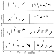 Marler and Isaac wrote that “It is in the structure of the component notes and syllables that we find the greatest diversity” (p. 202). They classified around 500 spectrographic “notes” as “vibrato” (5–8) or “non-vibrato” (1–4) and subdivided these classes based on “inflection”—e.g., upward (1), downward (2), upward then downward (3), etc. All spectrograms were analyzed through “ink tracings” made of the spectrograms “on tracing paper” (p. 193).