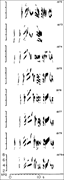 Spectrograms of one village indigobird song type “tradition” changing over a period from 1972 to 1979 within a population at Lochinvar National Park, Zambia. Robert Payne [no apparent relation] wrote about “a process of accumulation of minor year-to-year changes,” such that the “song type was scarcely recognizable if 1972 songs were compared only with 1979 songs, but songs in the intervening years were intermediate in structure” (p. 23–4). From Robert Payne, “Behavioral Continuity and Change in Local Song Populations of Village Indigobirds Vidua chalybeate,” Zeitschrift für Tierpsychologie 70, issue 1 (1985),” 28. Reproduced with permission from John Wiley and Sons.