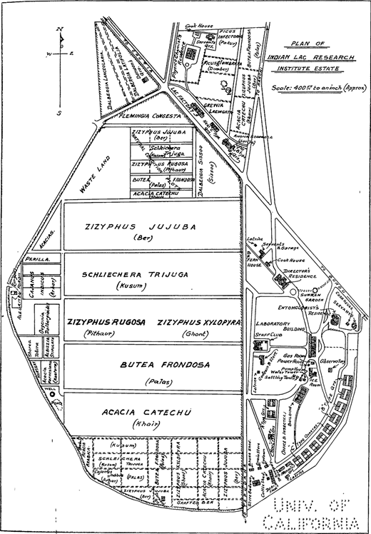 A map of the Indian Lac Research Institute, showing experimental plantations, laboratories, residences, gardens, a staff club, a cook house and servants’ quarters, an insectary, and a miniature lac factory