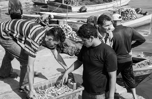 Confinement for Gaza fishermen means depleted stocks and small fish as catch. (2017, photo by the author)