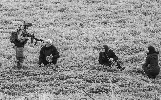 An Israeli soldier trains his gun on a small group of Palestinian farmers as he checks their identification documents in a field near al-Hamra checkpoint in the Jordan Valley. (28 January, Jaafar Ashtiyeh/AFP via Getty Images)