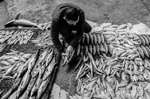 A Palestinian fisherman displays his catch at a market in Gaza City. (13 January, Mohammed Abed/AFP via Getty Images)