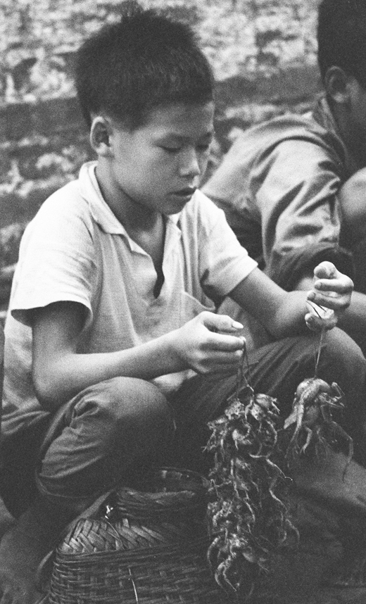 A young boy selling frogs.