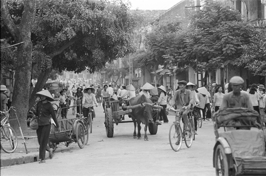 A water buffalo–drawn cart on a busy Hà Nội street.