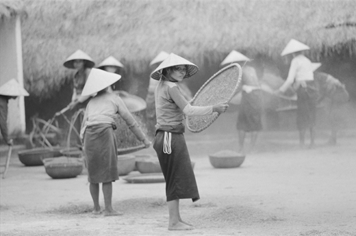 Winnowing rice in rural Hòa Bình Province.