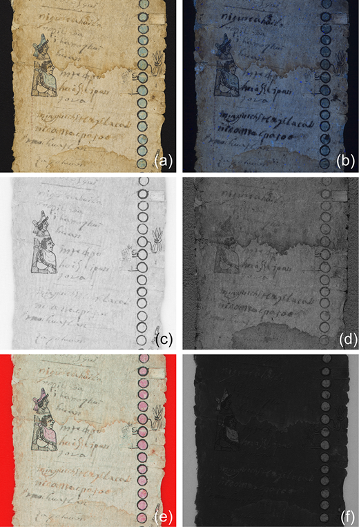 A section of the amatl from different imaging modes, illustrating various material characteristics in (a) visible light image; (b) UVL image, showing dark, highly absorbent areas that suggest presence of iron gall ink; (c) RUV image that highlights surface issues like water staining; (d) multiband image subtraction showing areas that have a difference in reflectance between 660 nm and 735 nm as a bright grey-silver color, which is characteristic of indigo; (e) false color infrared (FCIR) image processing, showing indigo-containing areas as bright pink; and (f) RIR image illustrating absorbance of carbon-containing inks. Unidentified Nahua artist(s), Tira of don Martín. National Museum of the American Indian, Smithsonian Institution, 13/6913 (artwork in the public domain; photographs by Leah Bright and E. Keats Webb provided by NMAI Photo Services)