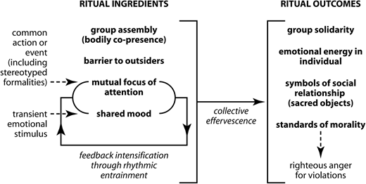 Randall Collins’ Interaction Ritual Chains model. Figure republished with permission of Princeton University Press from Interaction Ritual Chains, Randall Collins, © 2004; permission conveyed through Copyright Clearance Center, Inc.