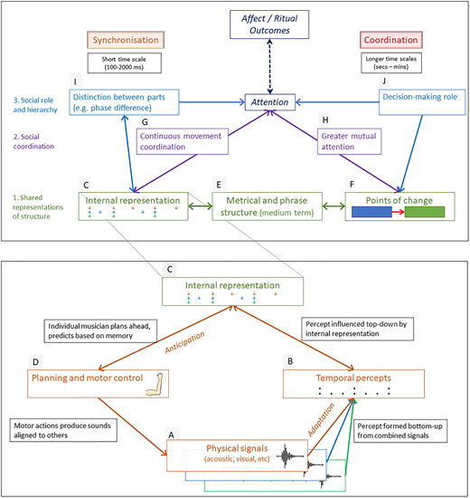 Model of Interpersonal Musical Entrainment that accounts for synchronization at short timescales and coordination at longer timescales. The lower pane illustrates the synchronization part of the model (boxes A-D), while the upper pane depicts elements related to shared representations of musical structure (C-F), social coordination (G & H), and social role and hierarchy (I & J).