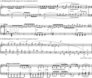 Fanciful modulations in op. 27, no.1.