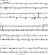 Unresolved contrasts in the Scherzo of op. 27, no. 1.