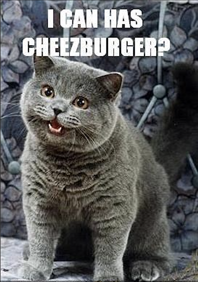 A classic LOLcat, uploaded by Eric Nakagawa to https://icanhas.cheezburger.com on 11 January 2007.