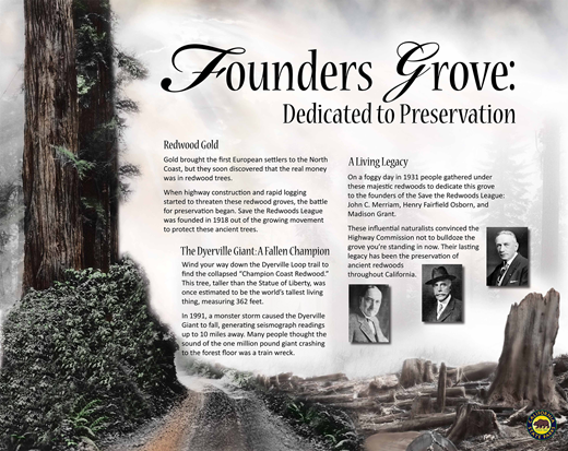 Original sign at Founders Grove. (California State Parks)