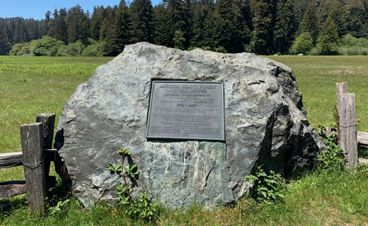 Plaque honoring Madison Grant, Prairie Creek Redwoods State Park. (California State Parks)